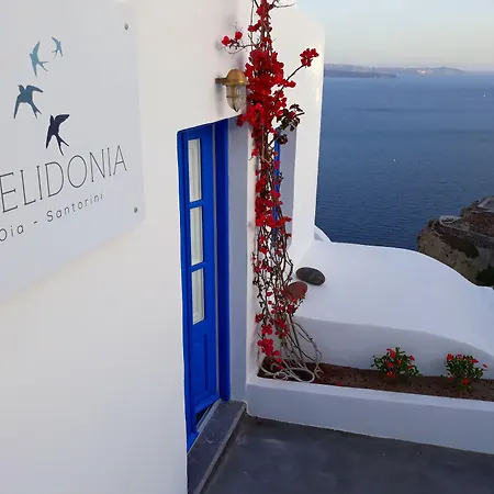 Chelidonia Traditional