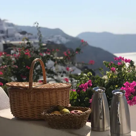 Chelidonia Traditional