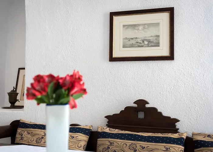 Chelidonia Traditional فندق